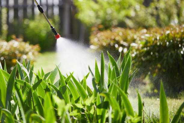 24/7 Emergency Fumigation Services experts in Aztec, NM