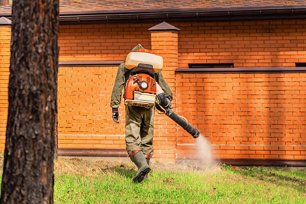 Top rated local Fumigation Services specialists in Aztec, NM